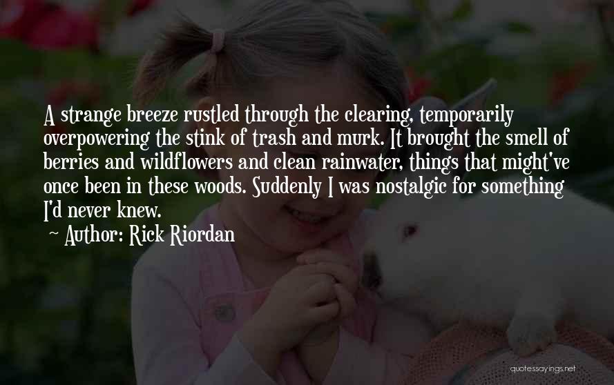 Rainwater Quotes By Rick Riordan