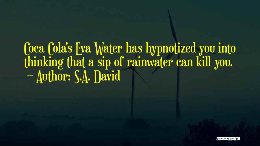 Rainwater Quotes By S.A. David