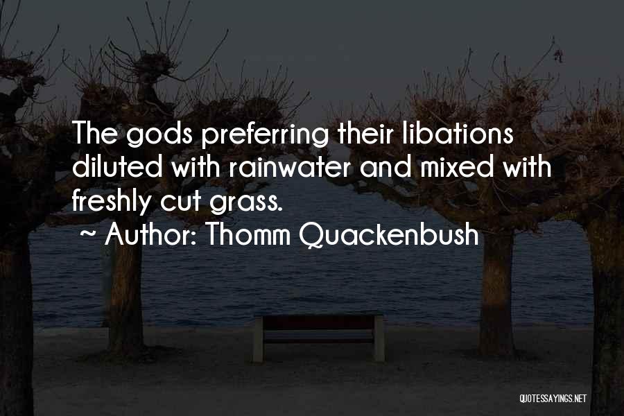 Rainwater Quotes By Thomm Quackenbush