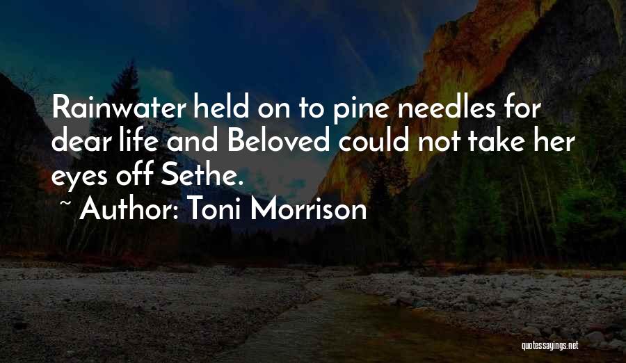 Rainwater Quotes By Toni Morrison