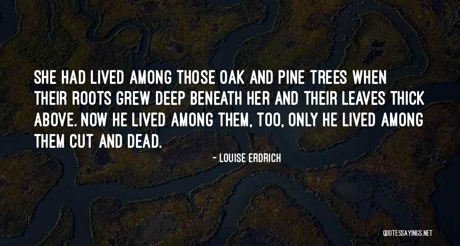 Rainwing Icewing Quotes By Louise Erdrich Rainwing Icewing Quotes By Louise Erdrich