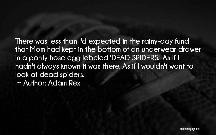 Rainy Day Quotes By Adam Rex