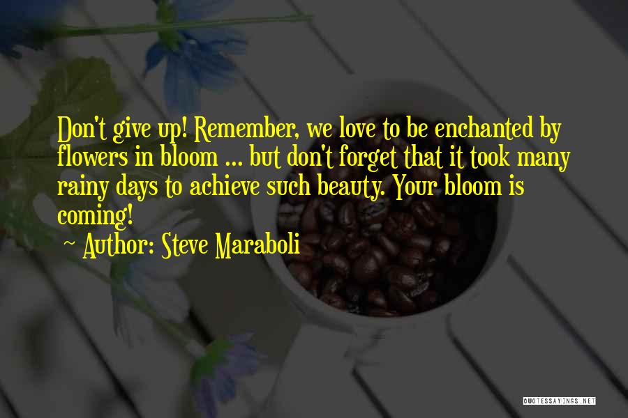 Rainy Days Quotes By Steve Maraboli