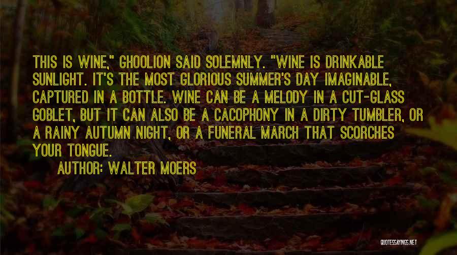 Rainy Night Quotes By Walter Moers