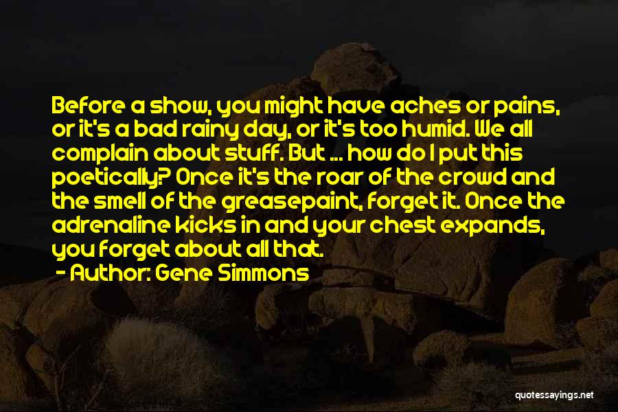 Rainy Or Rainy Day Quotes By Gene Simmons