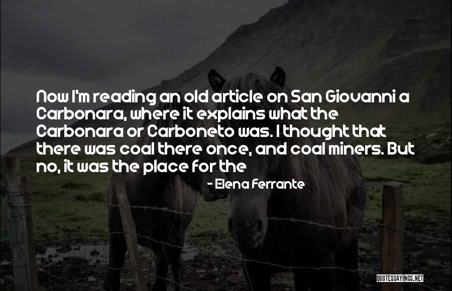 Rairai Quotes By Elena Ferrante Rairai Quotes By Elena Ferrante
