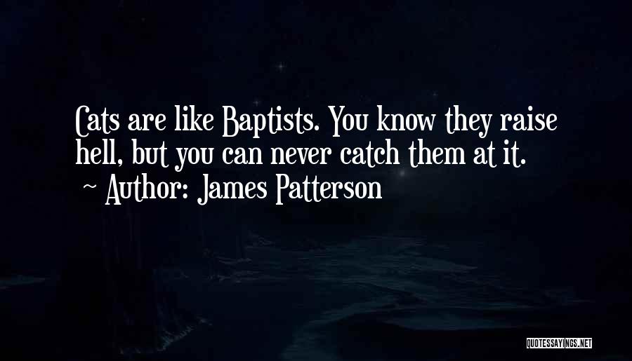 Raise Hell Quotes By James Patterson