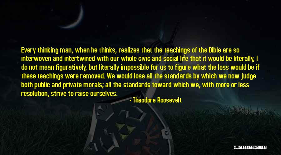 Raise Standards Quotes By Theodore Roosevelt