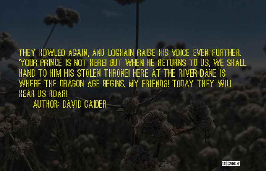 Raise Your Hand Quotes By David Gaider