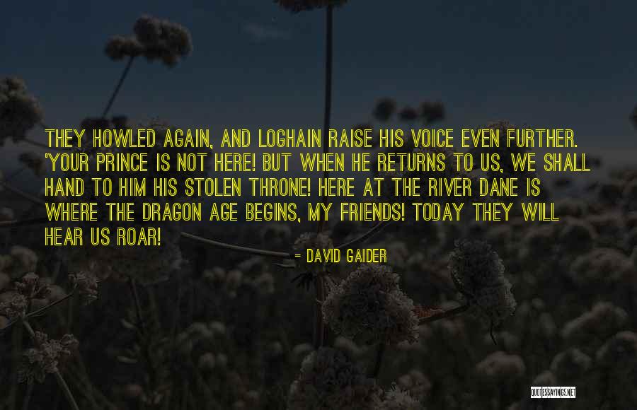 Raise Your Hand Quotes By David Gaider