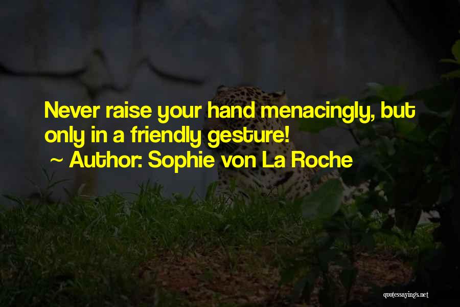 Raise Your Hand Quotes By Sophie Von La Roche