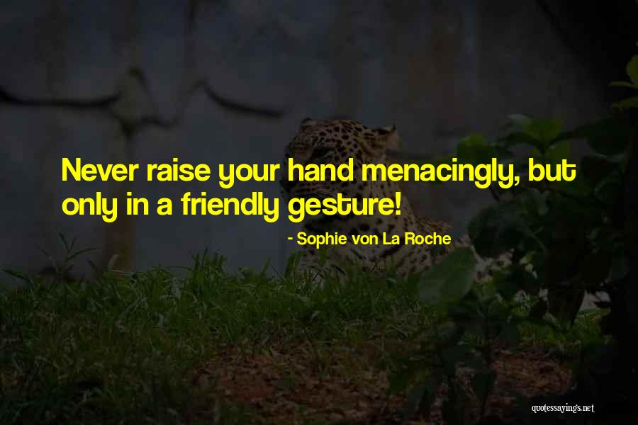 Raise Your Hand Quotes By Sophie Von La Roche