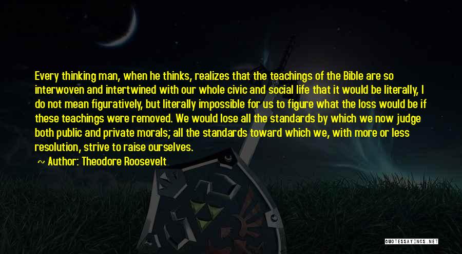 Raise Your Standards Quotes By Theodore Roosevelt