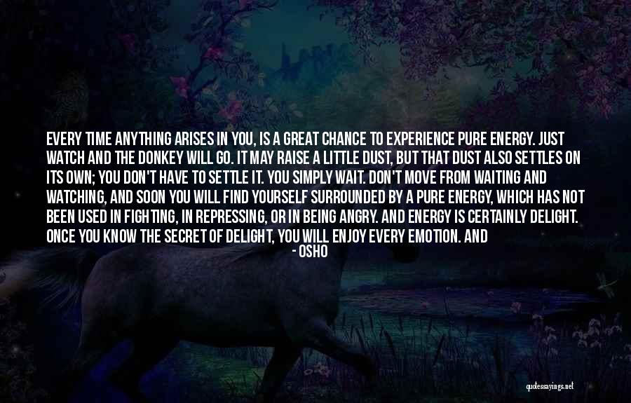 Raise Yourself Quotes By Osho Raise Yourself Quotes By Osho