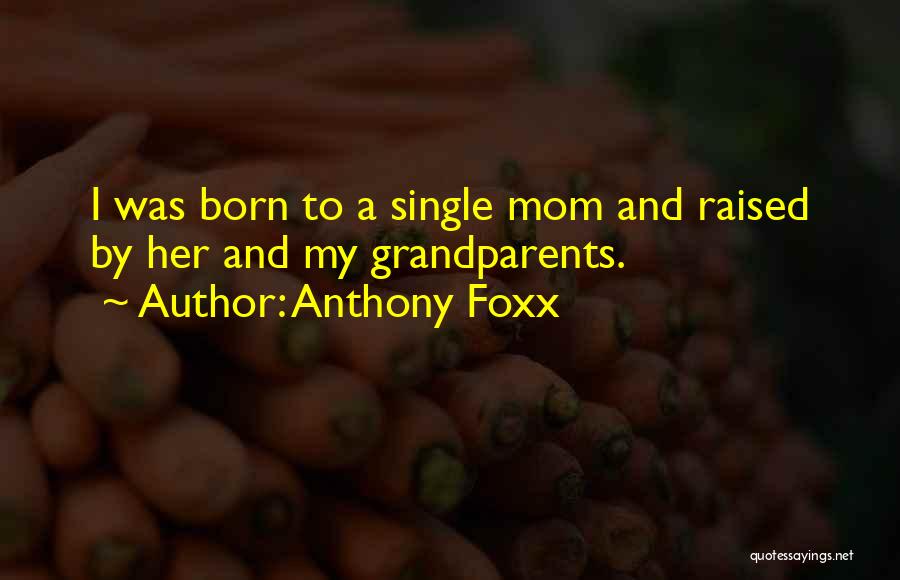 Raised By A Single Mom Quotes By Anthony Foxx