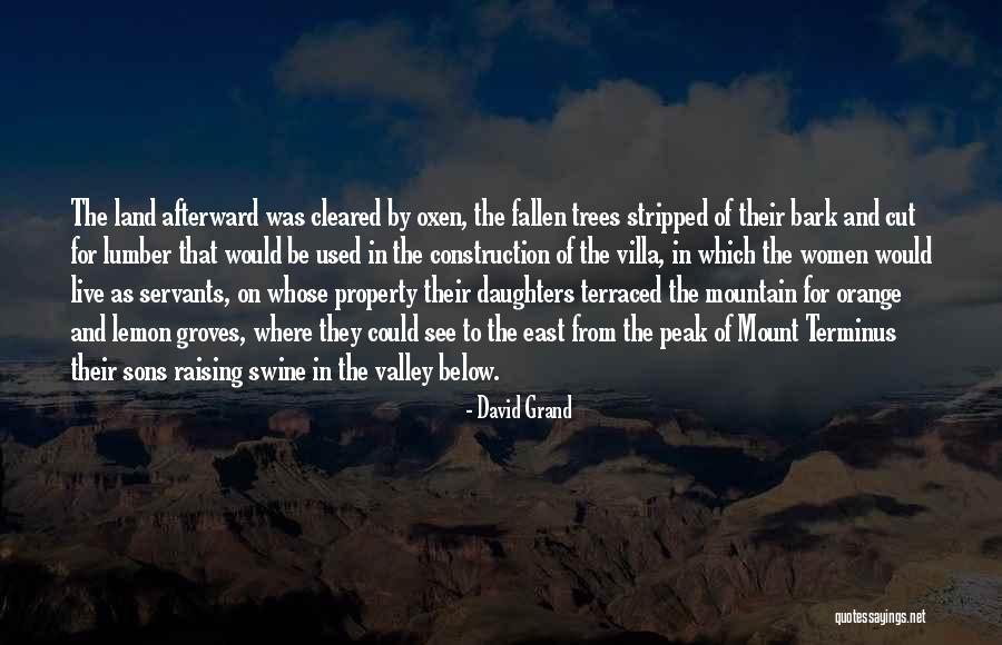 Raising Women Quotes By David Grand Raising Women Quotes By David Grand