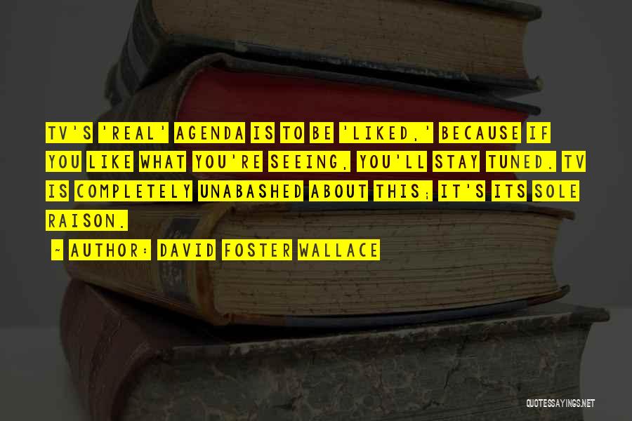 Raison D'etre Quotes By David Foster Wallace