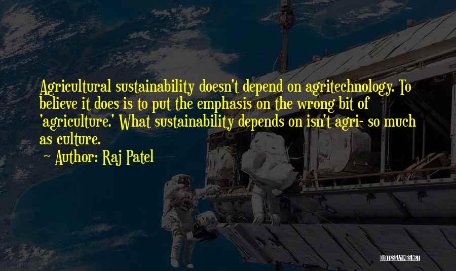 Raj Patel Quotes 2013288