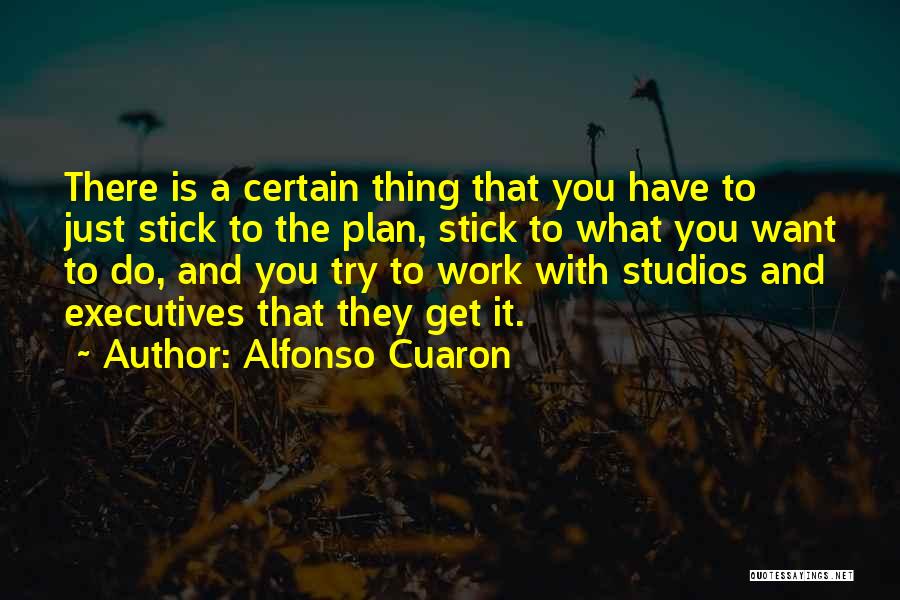 Raja Hindustani Quotes By Alfonso Cuaron