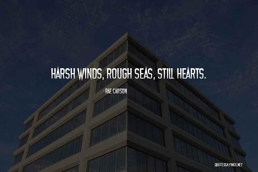 Rajab Ali And Sons Quotes By Rae Carson Rajab Ali And Sons Quotes By Rae Carson