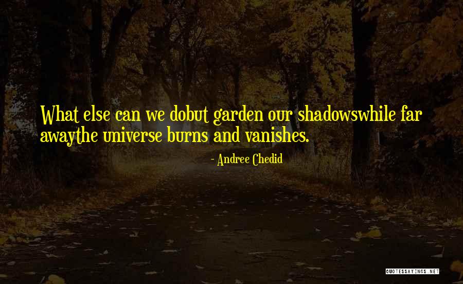 Rajabally Gbs Quotes By Andree Chedid Rajabally Gbs Quotes By Andree Chedid