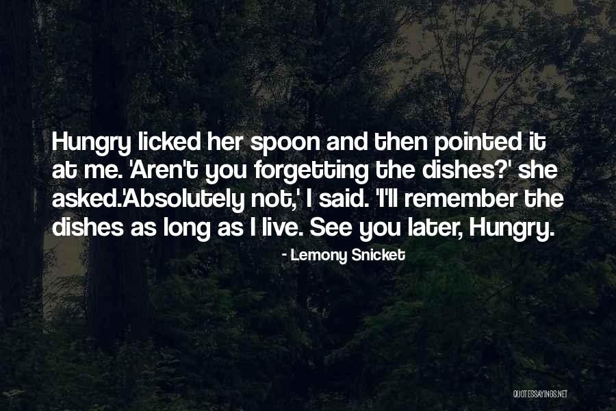 Rajadurai Constructions Quotes By Lemony Snicket Rajadurai Constructions Quotes By Lemony Snicket