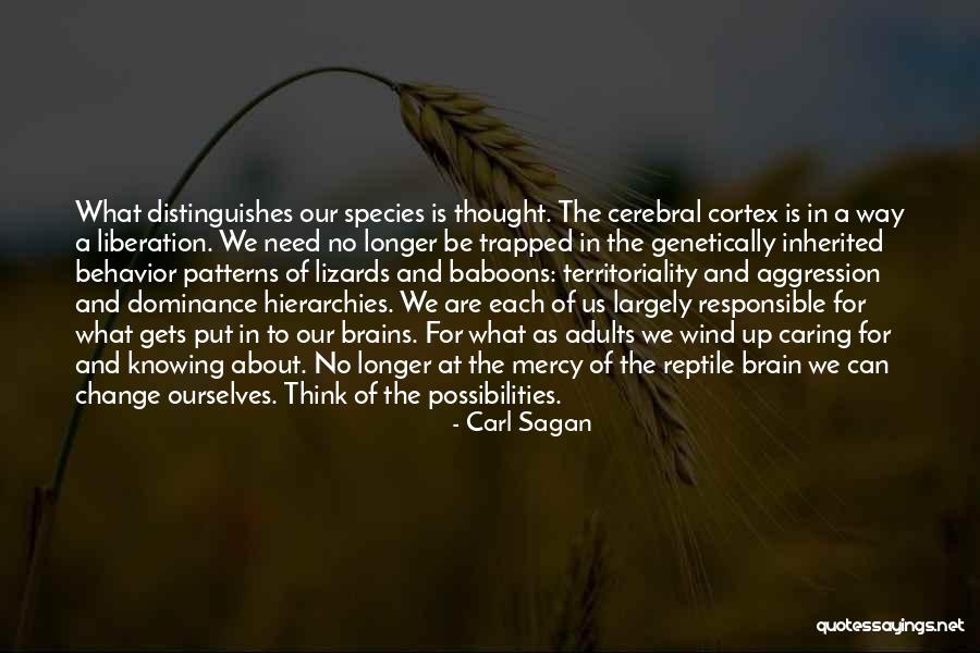 Rajae Maouane Quotes By Carl Sagan Rajae Maouane Quotes By Carl Sagan