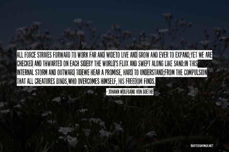 Rajagopalan Venkataraman Quotes By Johann Wolfgang Von Goethe Rajagopalan Venkataraman Quotes By Johann Wolfgang Von Goethe