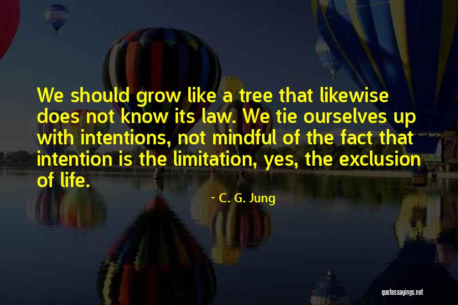 Rajatabha Dutta Quotes By C. G. Jung Rajatabha Dutta Quotes By C. G. Jung
