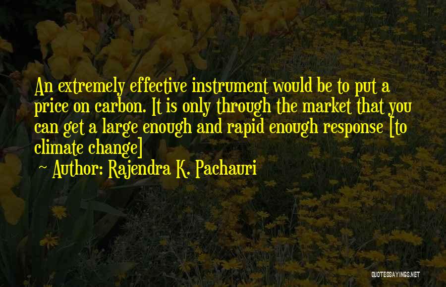 Rajendra K. Pachauri Quotes 1033844