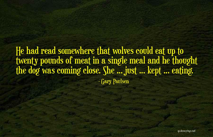Rajindra Krishan Quotes By Gary Paulsen