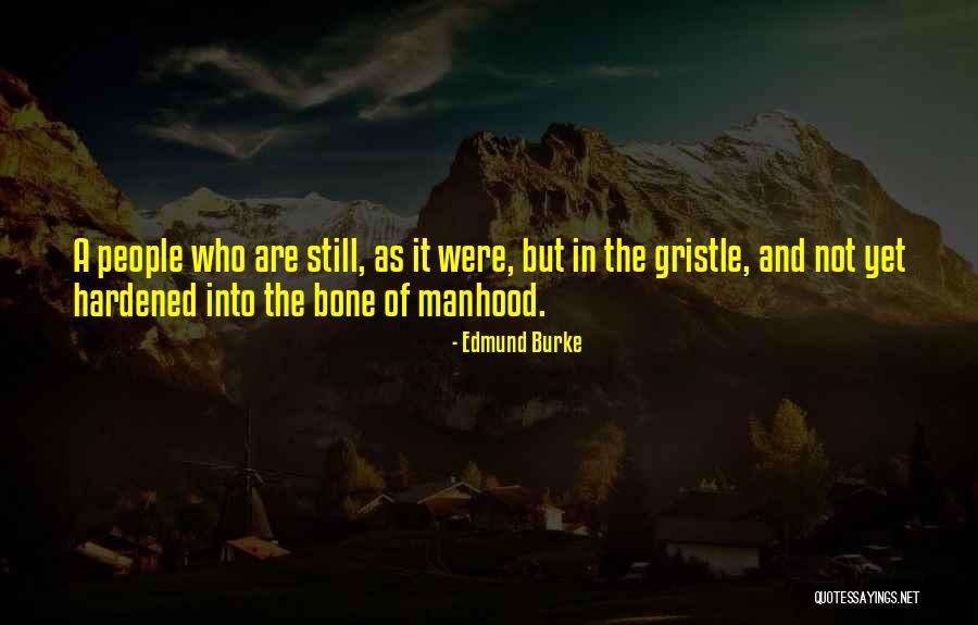 Rajitha Senaratne Quotes By Edmund Burke Rajitha Senaratne Quotes By Edmund Burke