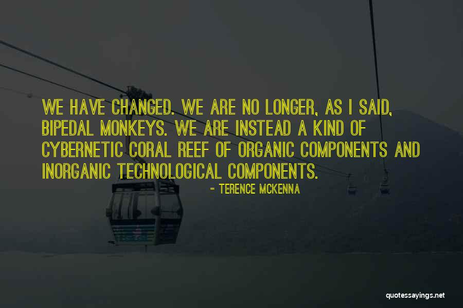 Rajitha Song Quotes By Terence McKenna Rajitha Song Quotes By Terence McKenna