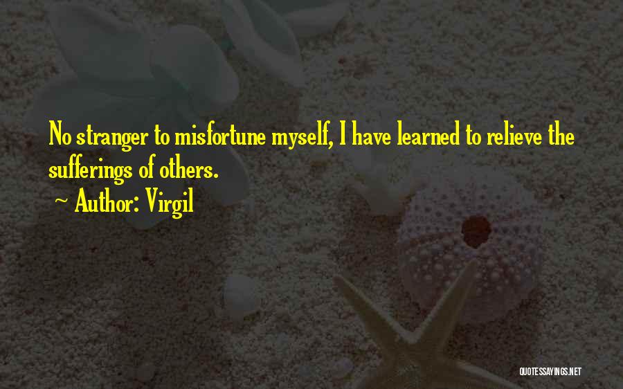 Rajnochovicka Quotes By Virgil