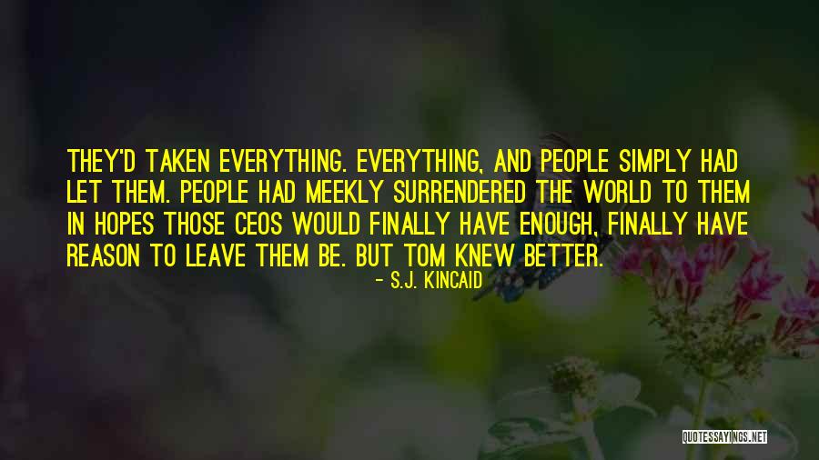 Rakastaka Quotes By S.J. Kincaid Rakastaka Quotes By S.J. Kincaid