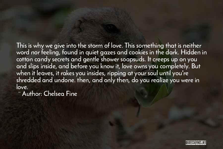 Rakes Quotes By Chelsea Fine