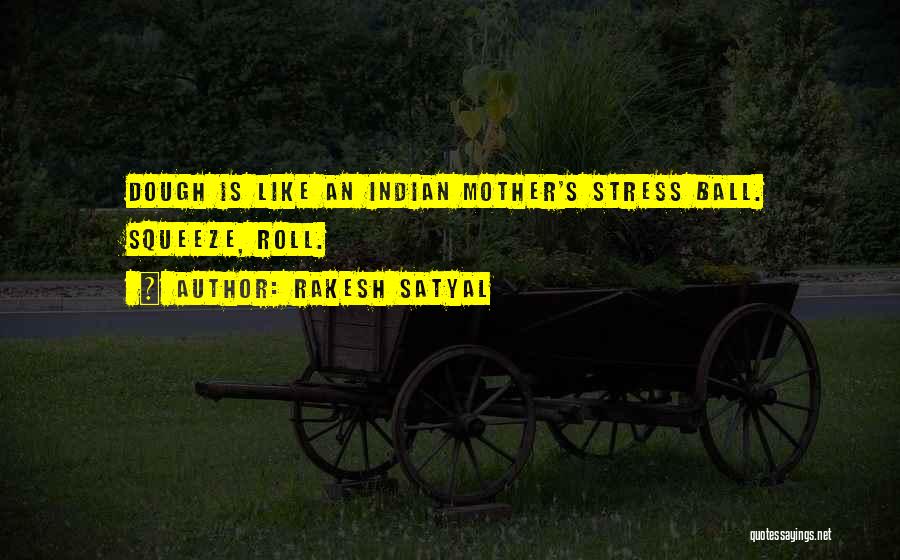 Rakesh Satyal Quotes 1170320