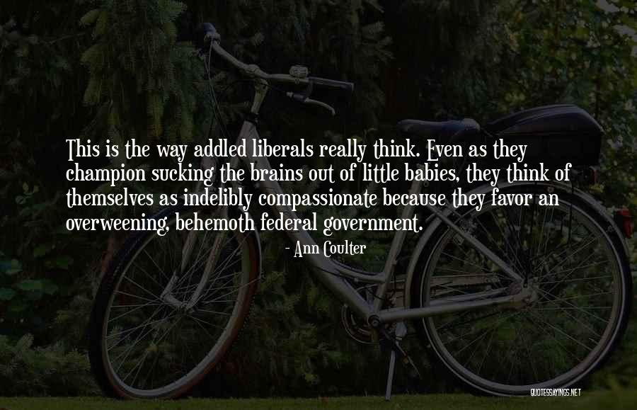 Rakhmanov Family Quotes By Ann Coulter Rakhmanov Family Quotes By Ann Coulter
