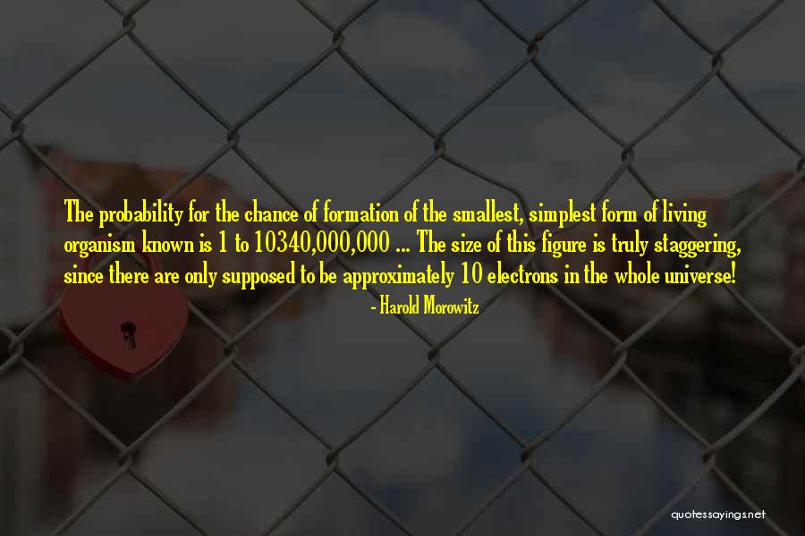 Rakhmanov Weightlifting Quotes By Harold Morowitz Rakhmanov Weightlifting Quotes By Harold Morowitz