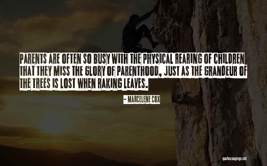 Raking Leaves Quotes By Marcelene Cox Raking Leaves Quotes By Marcelene Cox