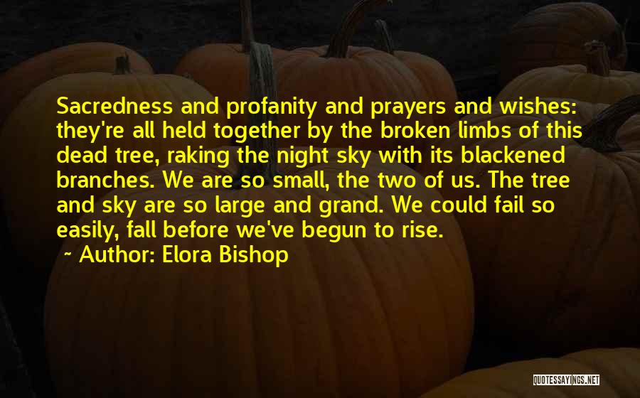 Raking Quotes By Elora Bishop