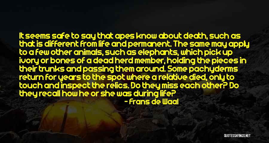 Rakkauden Haudalla Quotes By Frans De Waal Rakkauden Haudalla Quotes By Frans De Waal