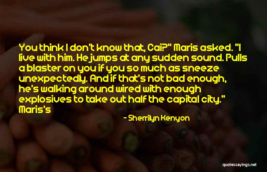 Rakshasudu Quotes By Sherrilyn Kenyon Rakshasudu Quotes By Sherrilyn Kenyon
