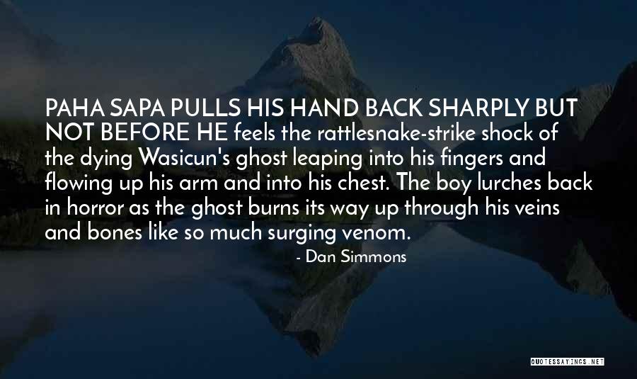 Rakshi Quotes By Dan Simmons Rakshi Quotes By Dan Simmons