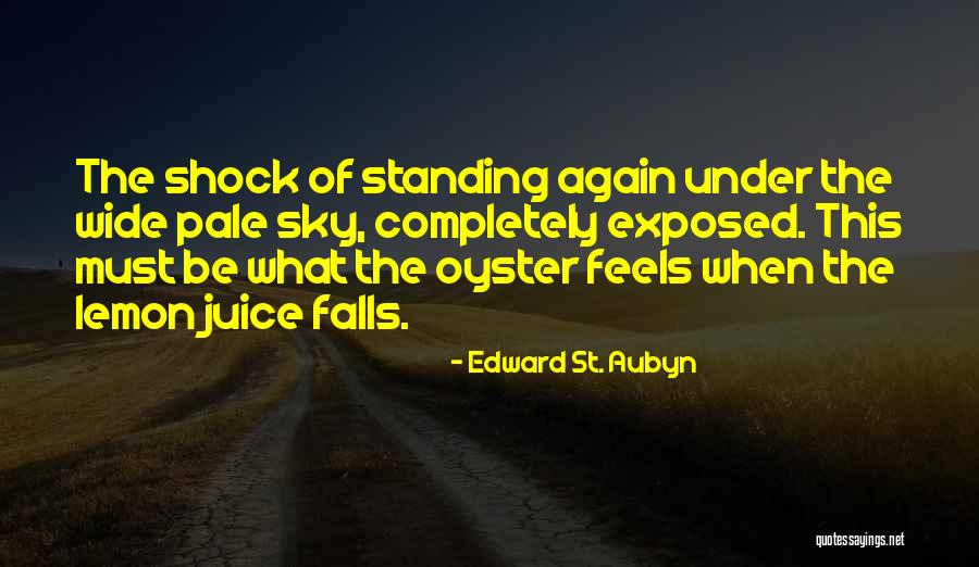 Ralph Engelstad Arena Quotes By Edward St. Aubyn Ralph Engelstad Arena Quotes By Edward St. Aubyn