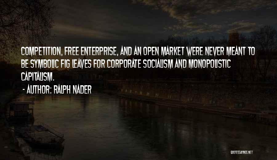 Ralph Nader Quotes 176936