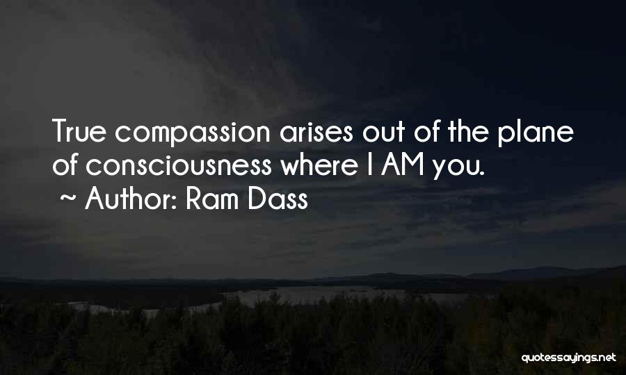 Ram Dass Quotes 1654276