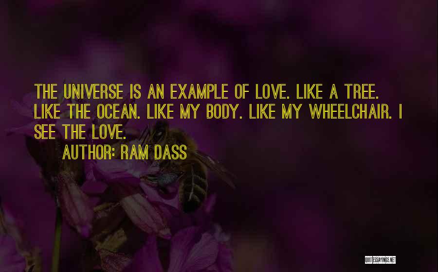 Ram Dass Quotes 914797