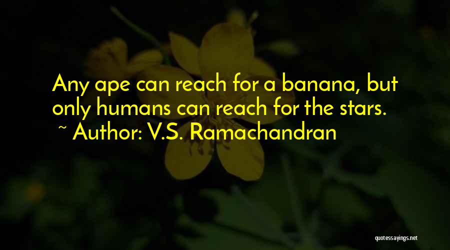 Ramachandran Quotes By V.S. Ramachandran