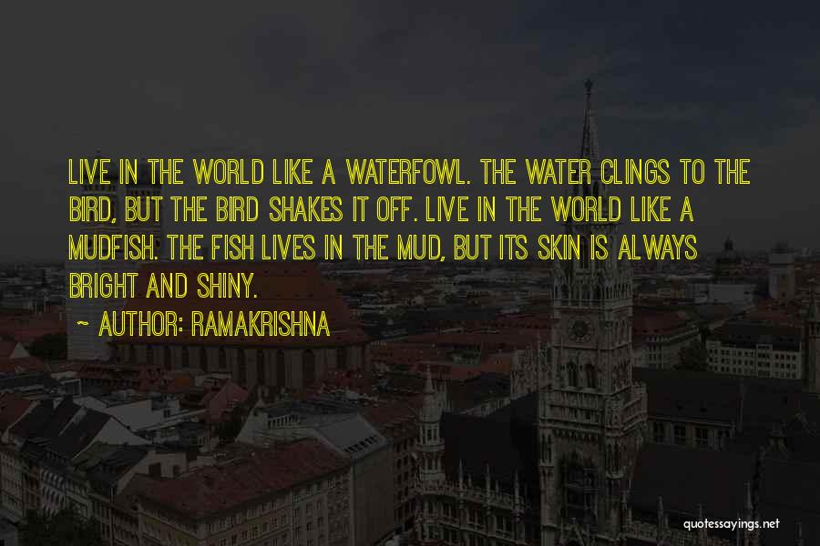 Ramakrishna Quotes 1006841
